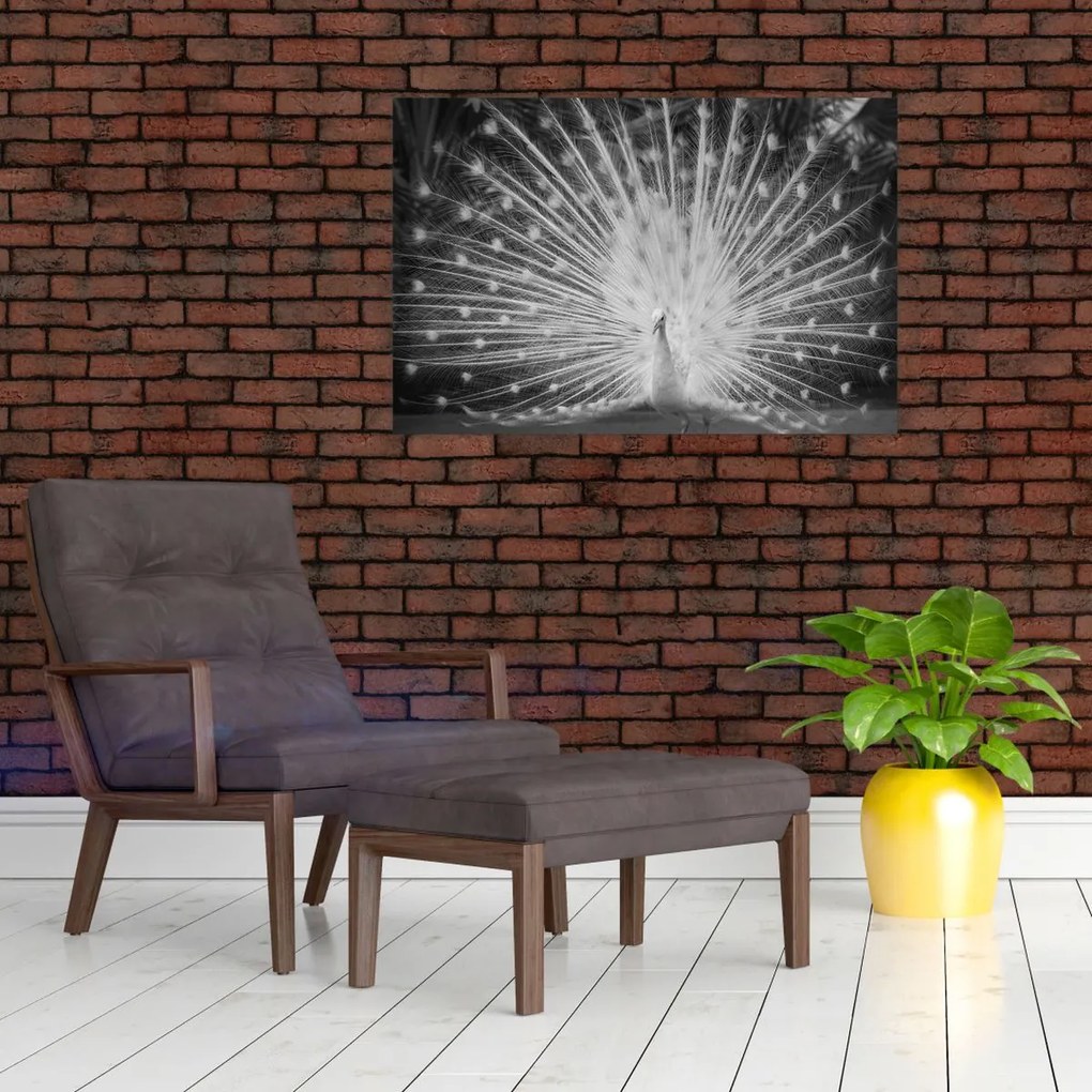 Kép - Fehér páva (90x60 cm)