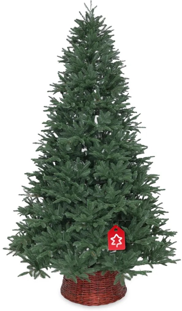 Szibériai jegenyefenyő 100 % 180 cm