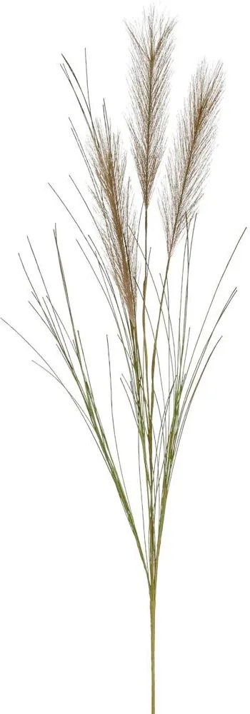 Pampas műnövény