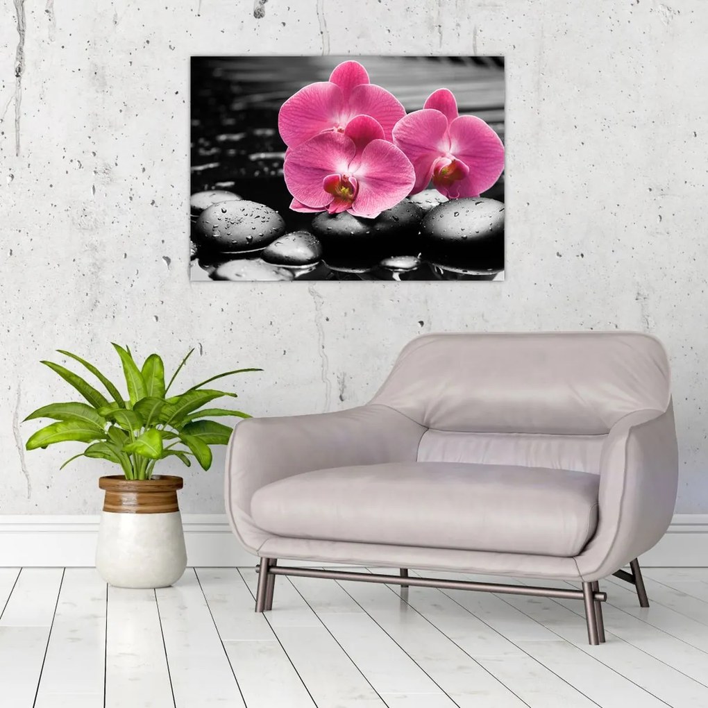 Kép - Rózsaszín orchideák (70x50 cm)