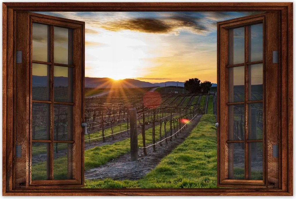 Poszterek 90x60 Szőlőbirtok Tájkép