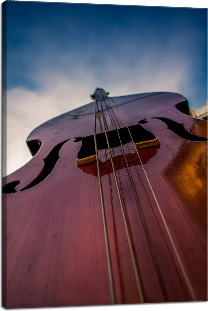 Vászonkép Zene Kontrabasszus közelkép 40x60