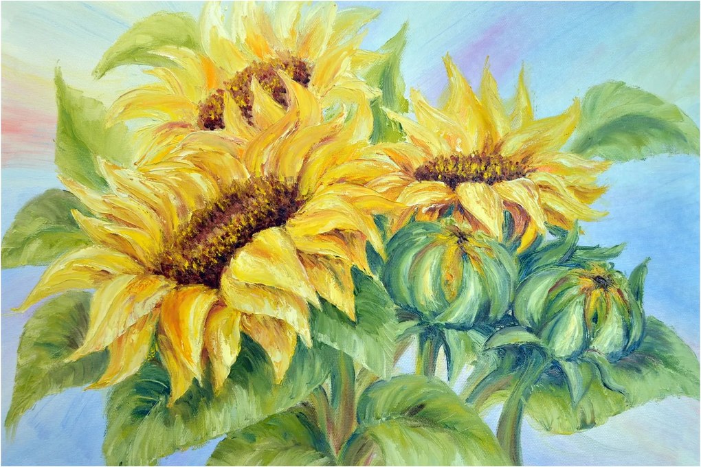 Virágzó napraforgó képe (90x60 cm)