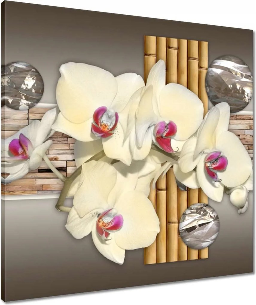 Vászonkép 60x60 Orchidea bambuszokkal