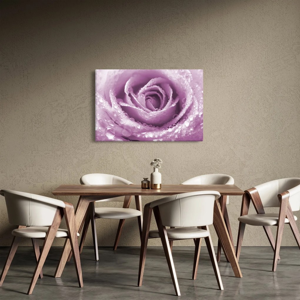 Egy rózsa virág részlete (90x60 cm)