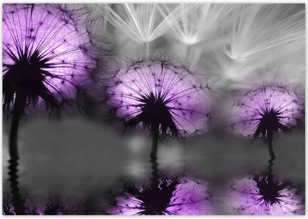 Poszterek 100x70 Tükröződés a vízben Sárkányok