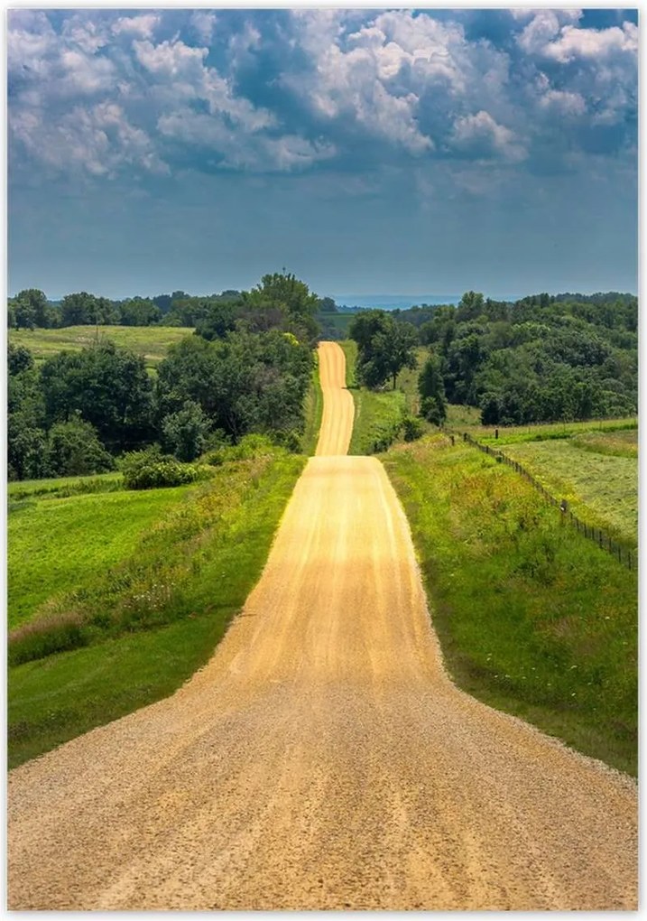 Poszterek 70x100 Út Rét Mező Erdő