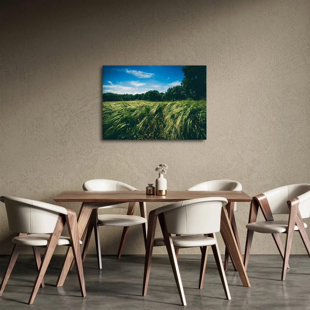 Rét és az erdő képe (70x50 cm)
