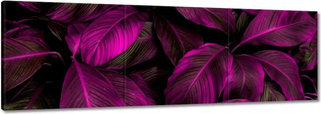 Vászonkép 60x20 Gyönyörű fukszia levelek