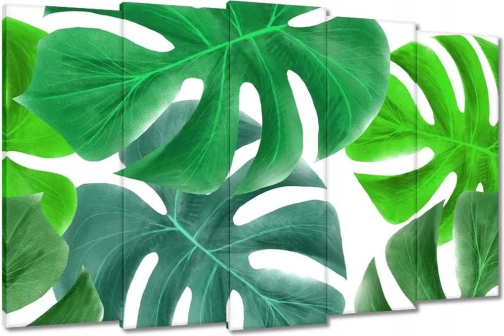Vászonkép 150x95 Levelek Monstery Trópusok