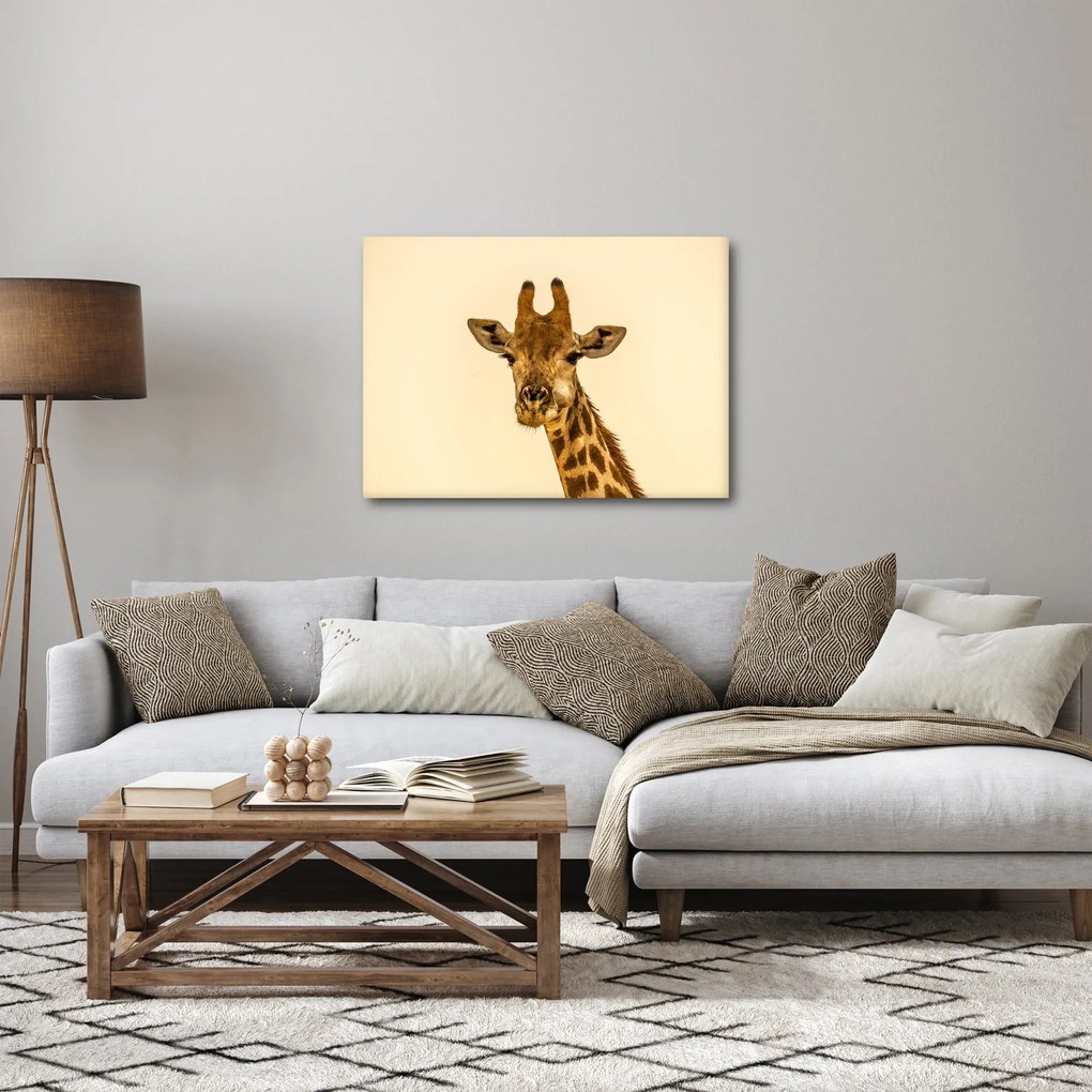 Egy zsiráf képe (70x50 cm)