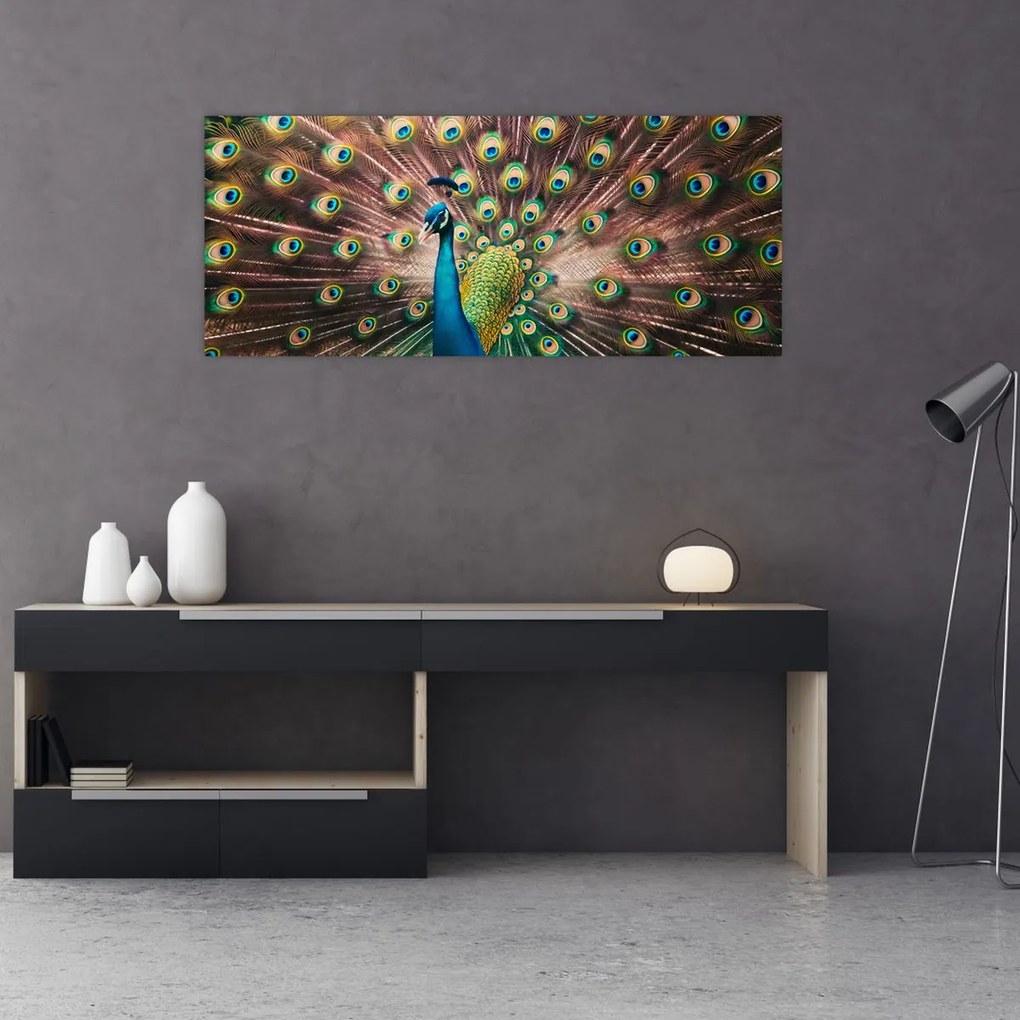 Kép - Páva (120x50 cm)