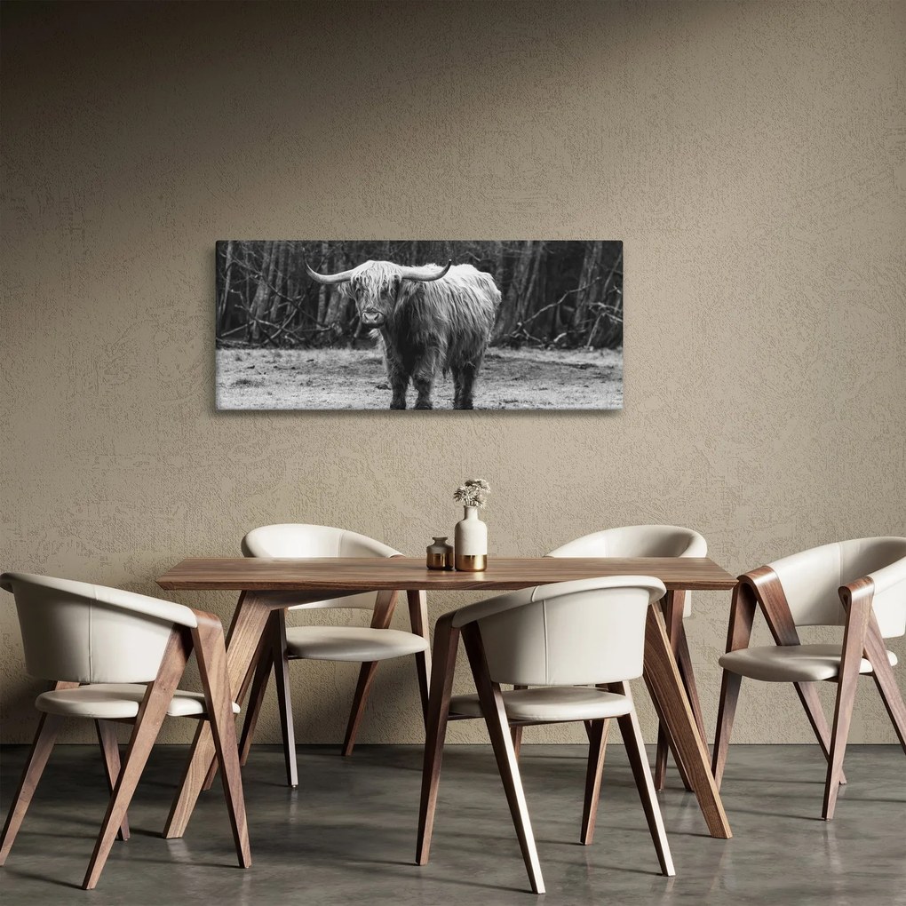 Kép - Skót tehén 3, fekete-fehér (120x50 cm)