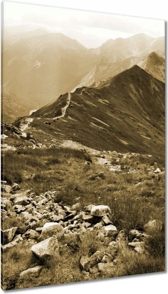 Vászonkép 80x120 Tátra Lengyel hegyek Kilátás