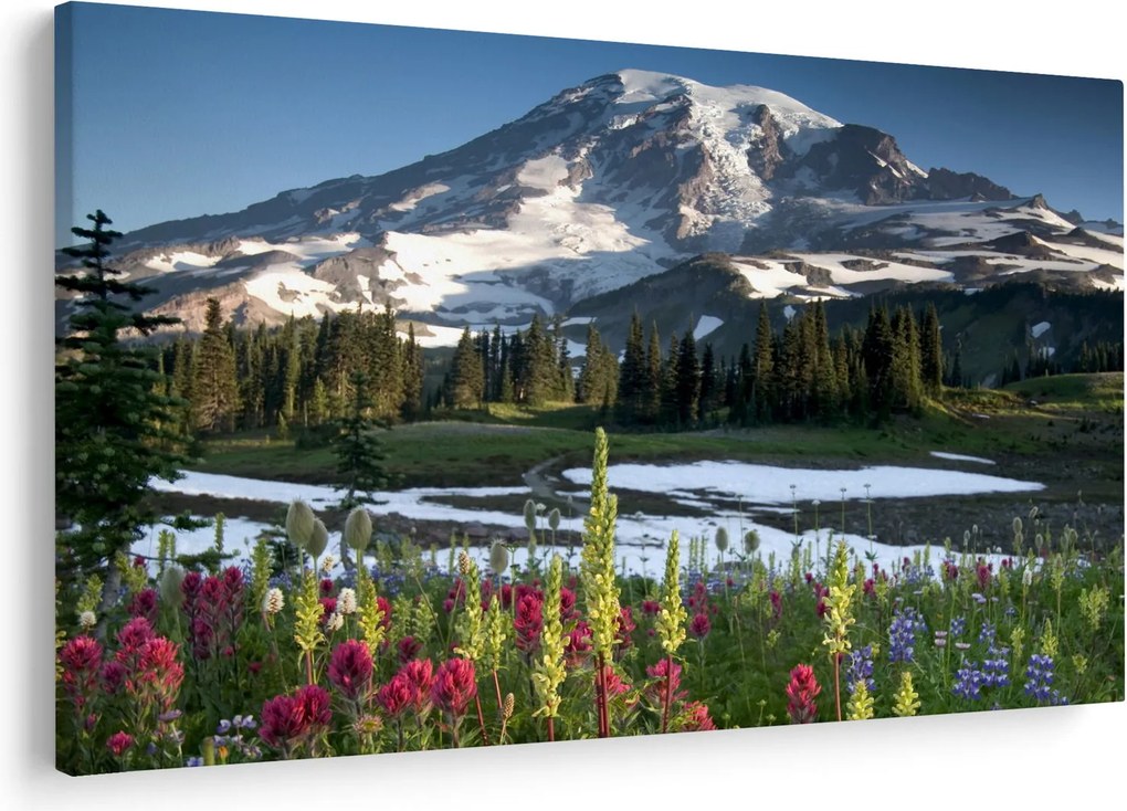 Kép - Mount Rainier (90x60 cm)