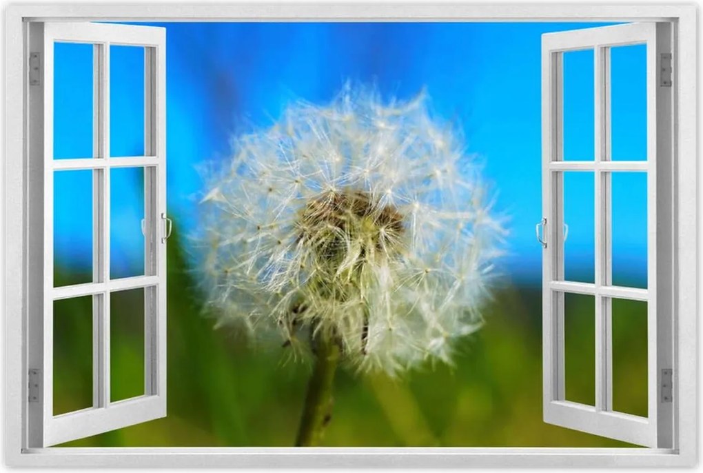 Poszterek 60x40 Pitypang Virág Virágok