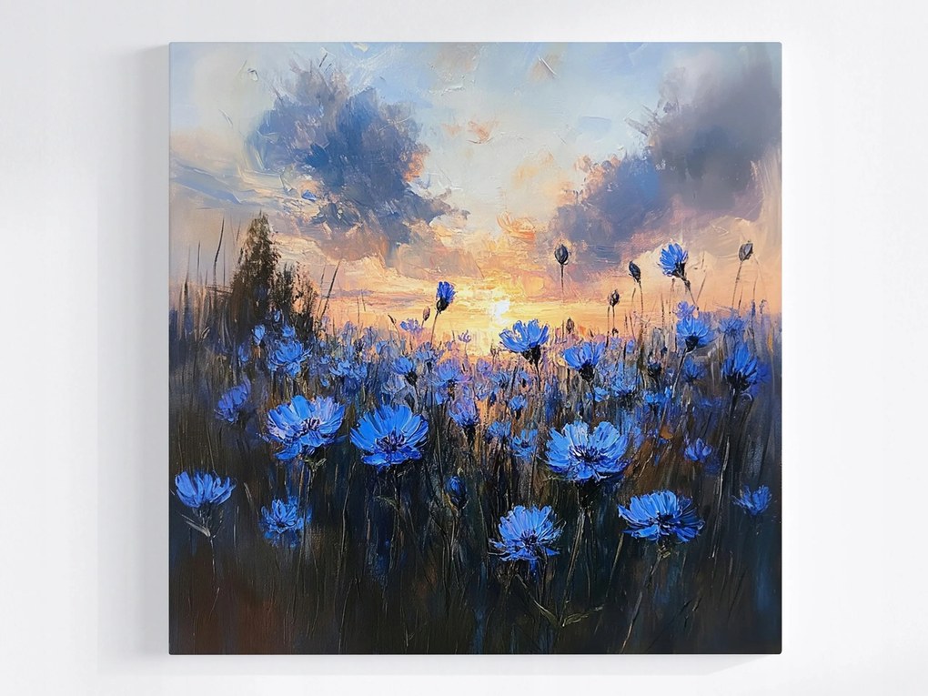 Vászonkép Canvas Tájkép Rét Mező Virágok Búzavirág Naplemente 40x40