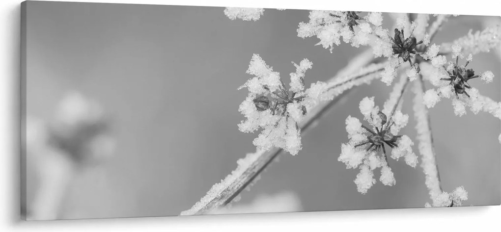 Kép - Fagyasztott növény (120x50 cm)