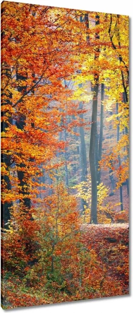 Vászonkép 55x115 Arany ősz