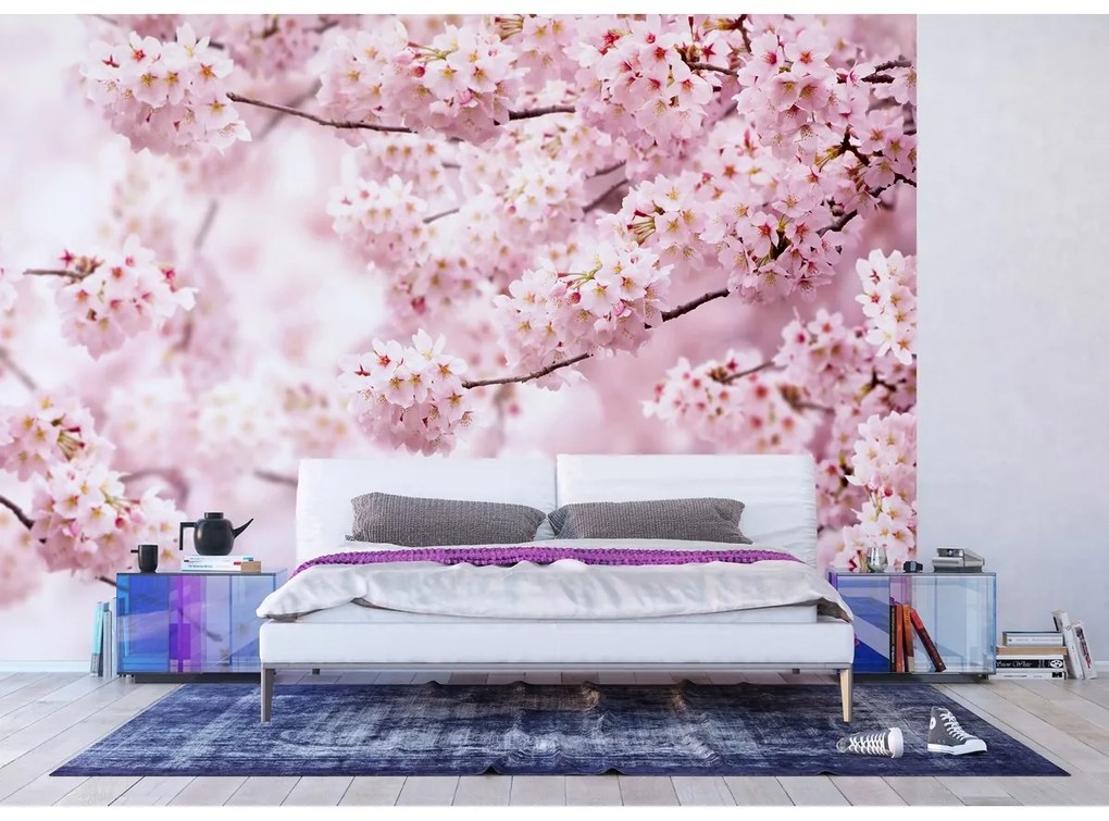Sakura XXL fotó háttérkép 360 x 254 cm, 4 rész