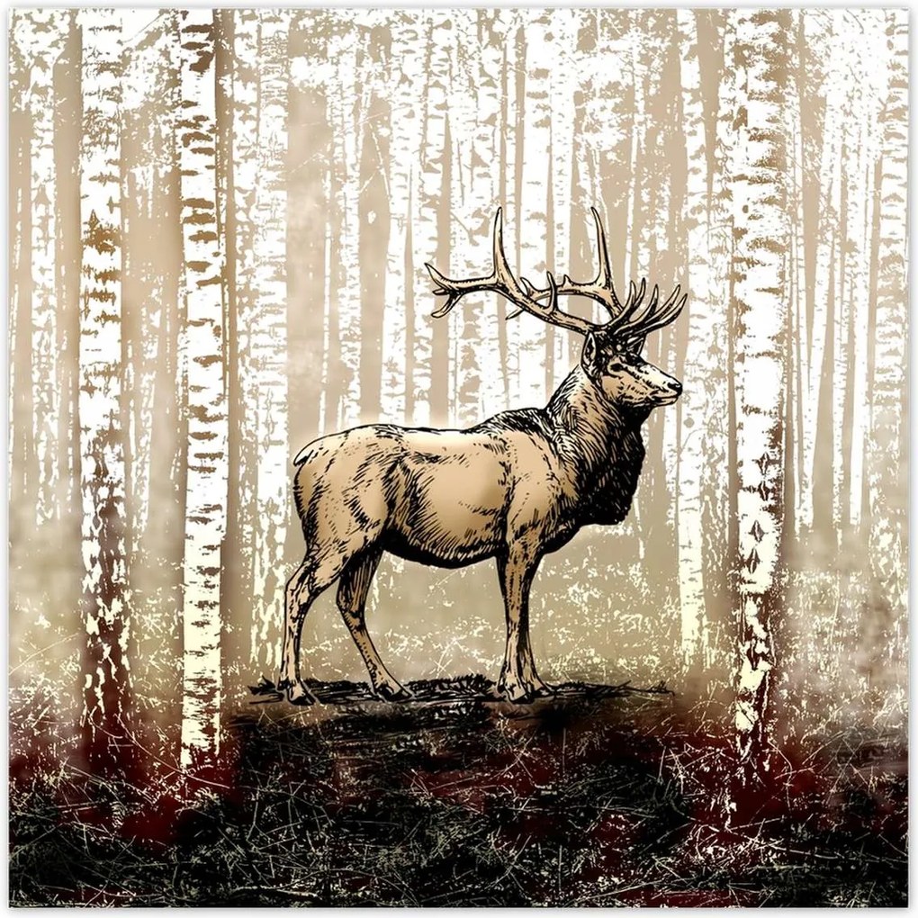 Poszterek 70x70 Szarvas Nyírfa Erdő