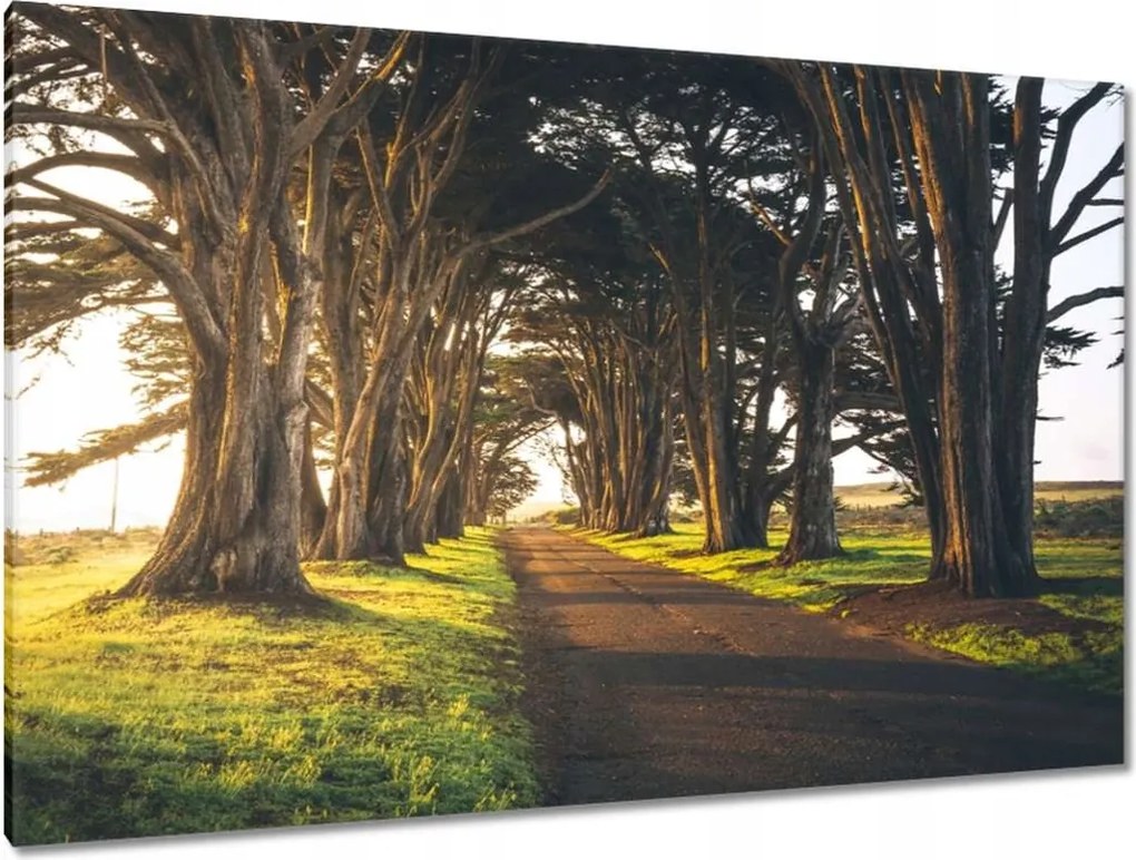 Festmények 120x80 Tájkép Látvány