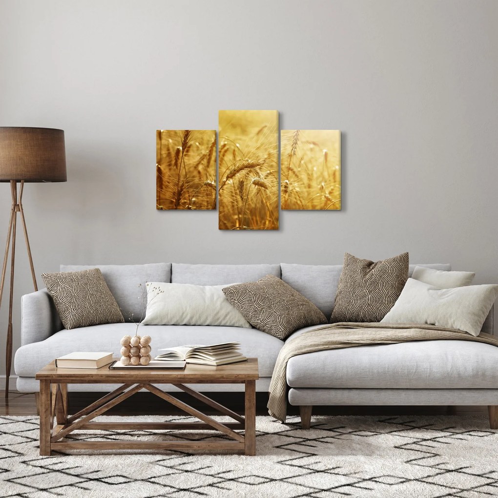 Kép - Gabonafül (90x60 cm)