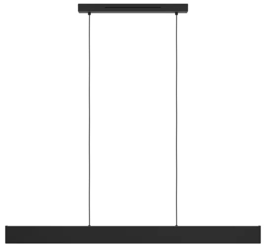 Eglo 900878 - LED RGBW Dimmelhető csillár zsinóron ANDREAS-Z LED/38W/230V fekete