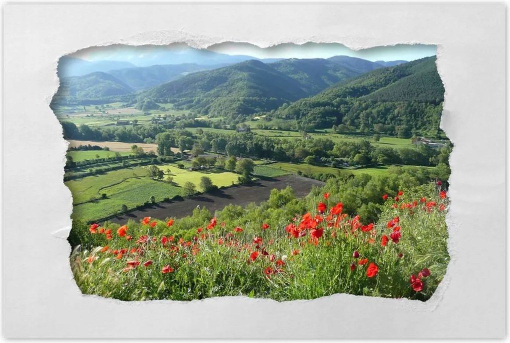 Poszterek 90x60 Virágos kilátás a hegyekben