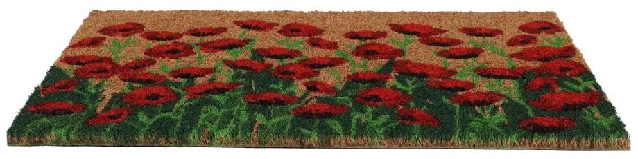 Kókuszrost lábtörlő 40x60 cm - Esschert Design