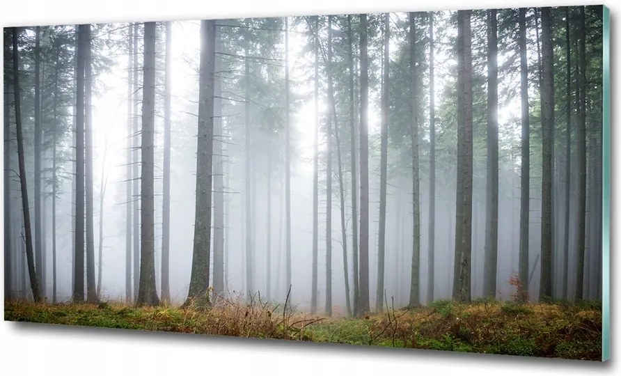 Fotó üvegkép Vízesés az erdőben 100x70