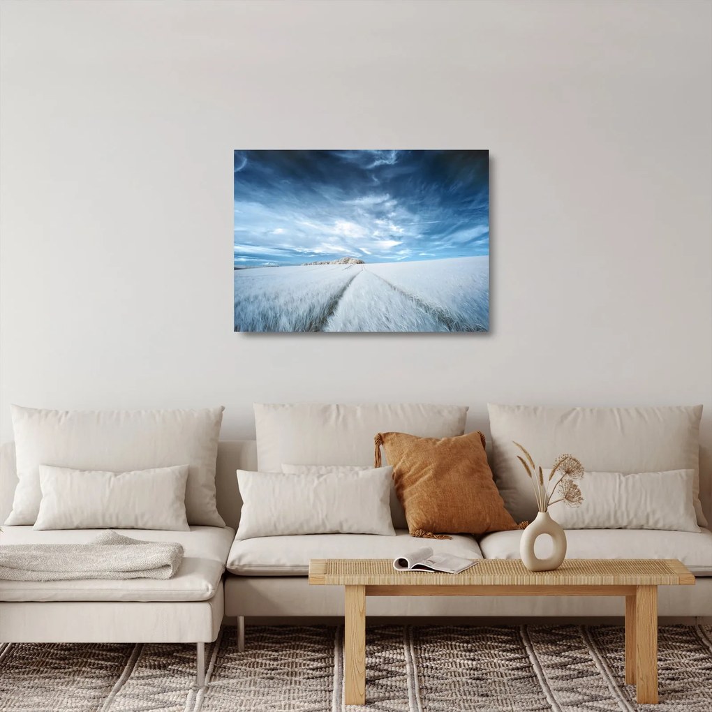 Mezőkép (üvegen) (70x50 cm)