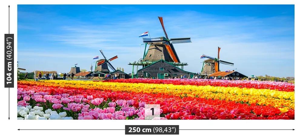Fotótapéta tulipán szélmalmok 104x70 cm