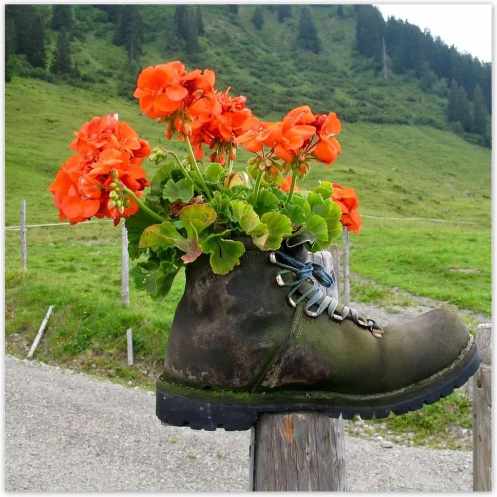 Poszterek 100x100 Virág a csizmában