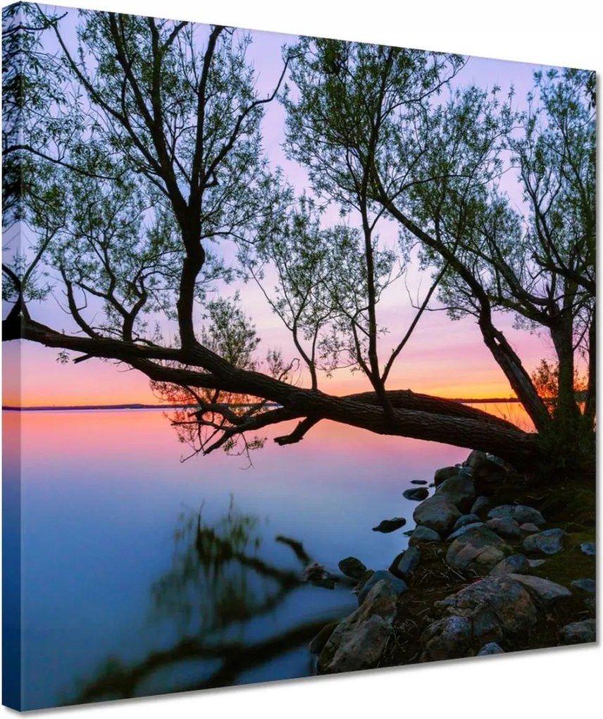 Vászonkép 30x30 Sziklák Fa Tó
