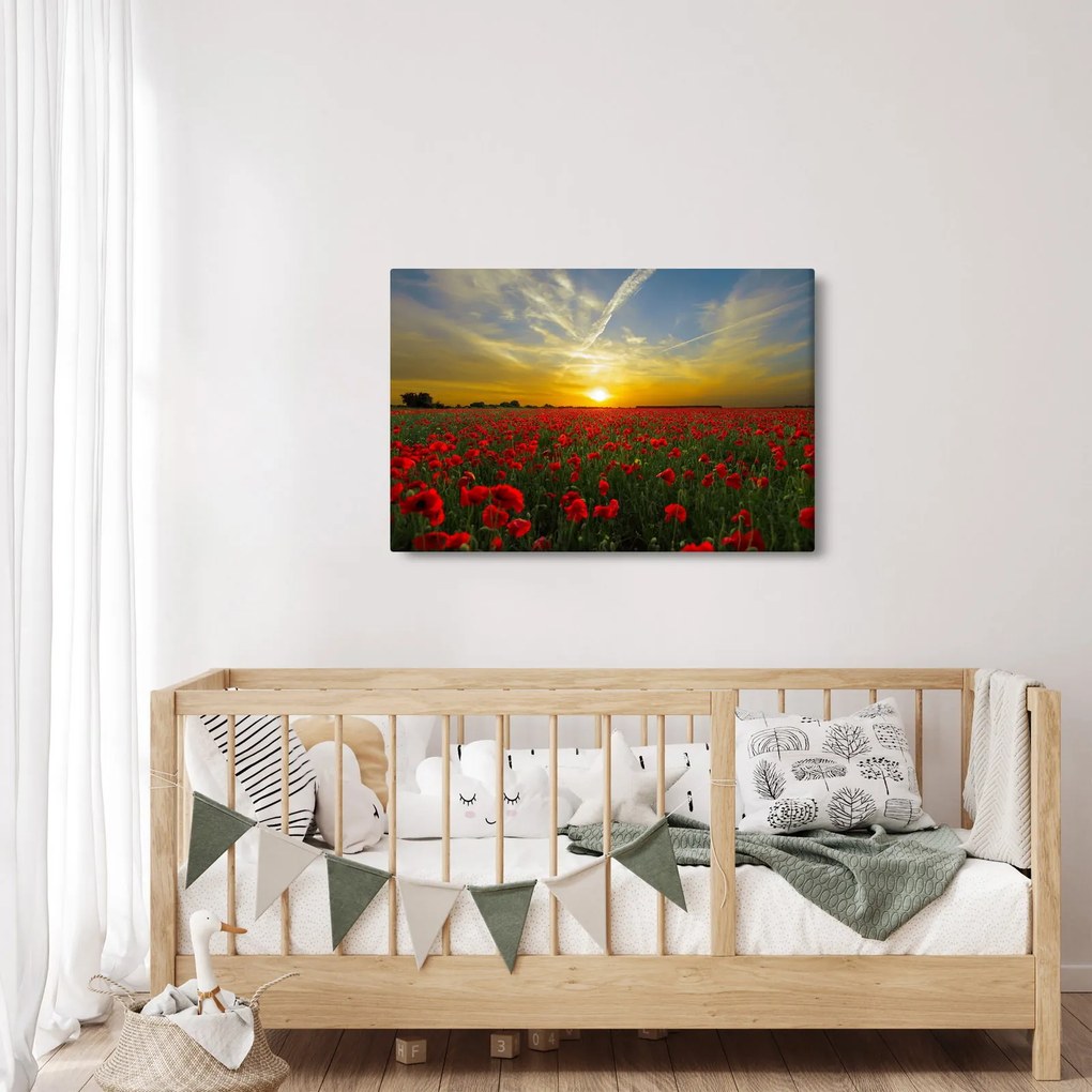 Egy kép a pipacs mezőről (90x60 cm)