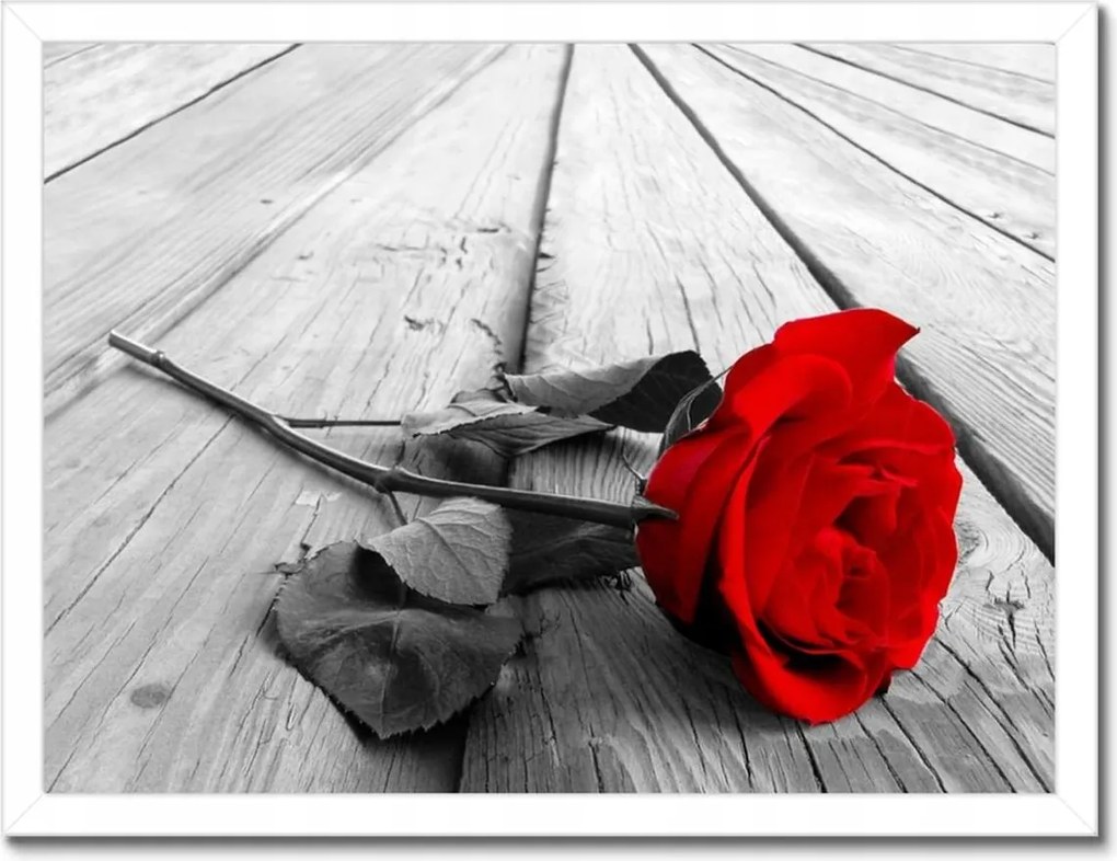 Poszterek keretben 40x30 Vörös rózsa a deszkákon