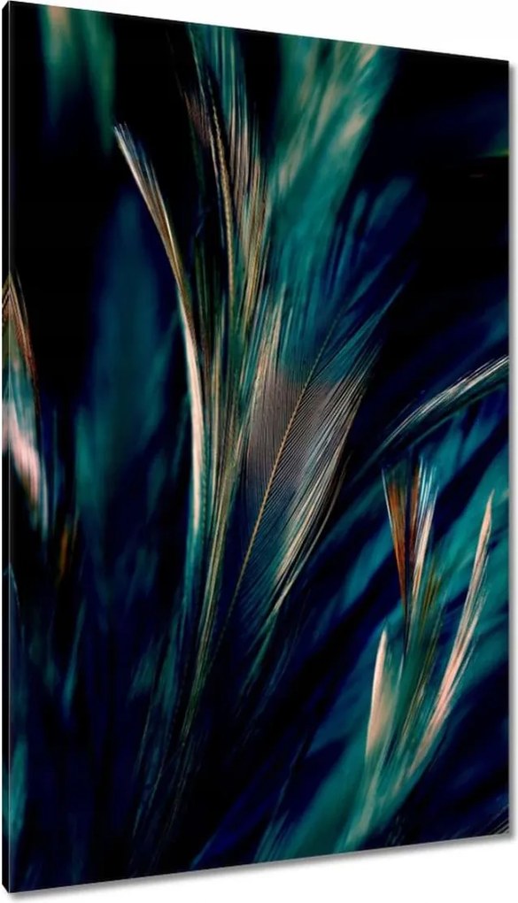 Vászonkép 80x120 Puha pávatollak