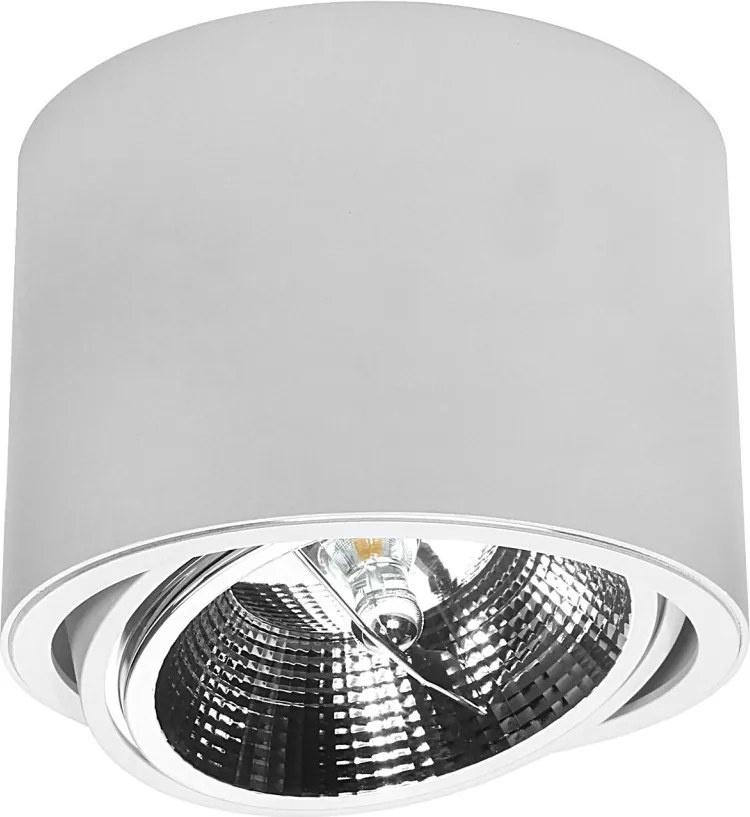 DOMENOLED 448 DOWNLIGHT Hengeres Mennyezeti Lámpa Fehér GU10/AR111 IP20