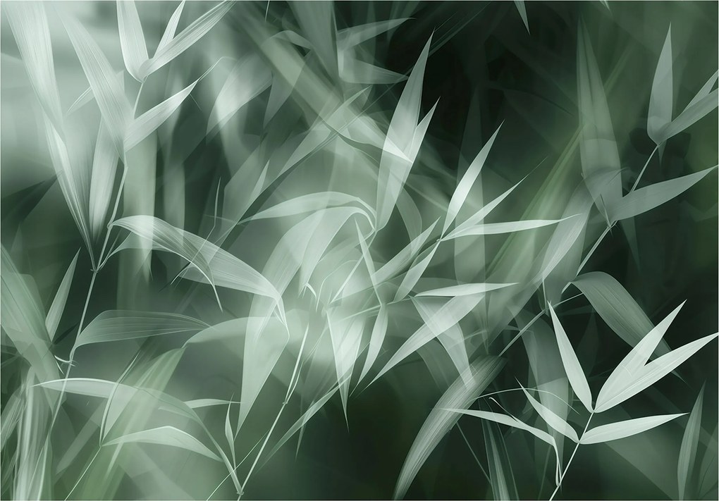 Fotótapéta Éteri bambusz levelek Erdőharmónia 254x184 vinil +ragasztó