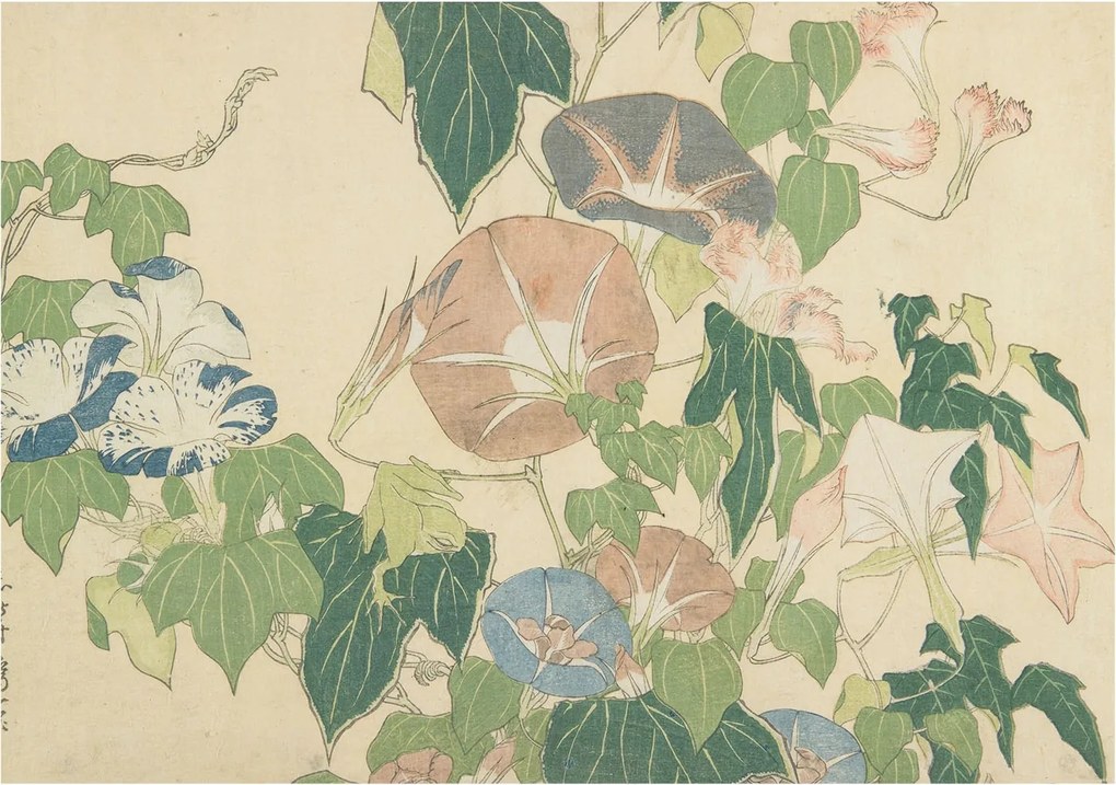 Modern fotótapéta Flizelina falra Virágos elegancia 312x219 Ragasztó