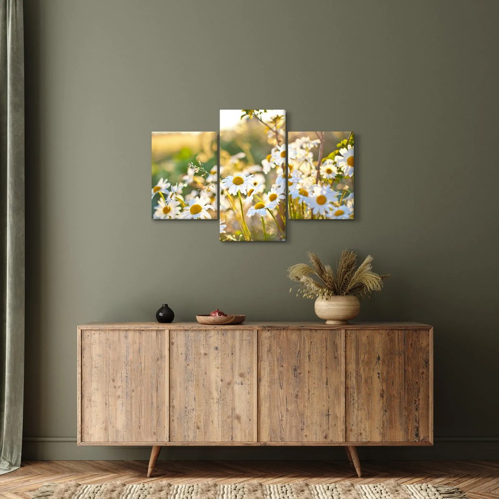 Kép - Százszorszépek (90x60 cm)