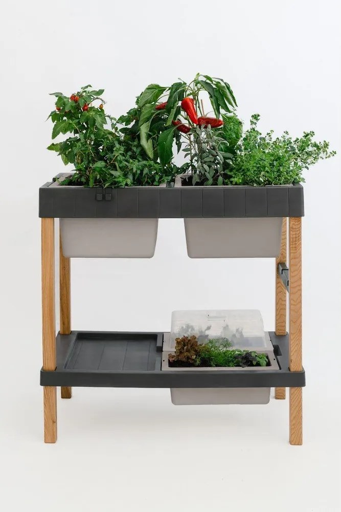 Magaságyás – Plastia