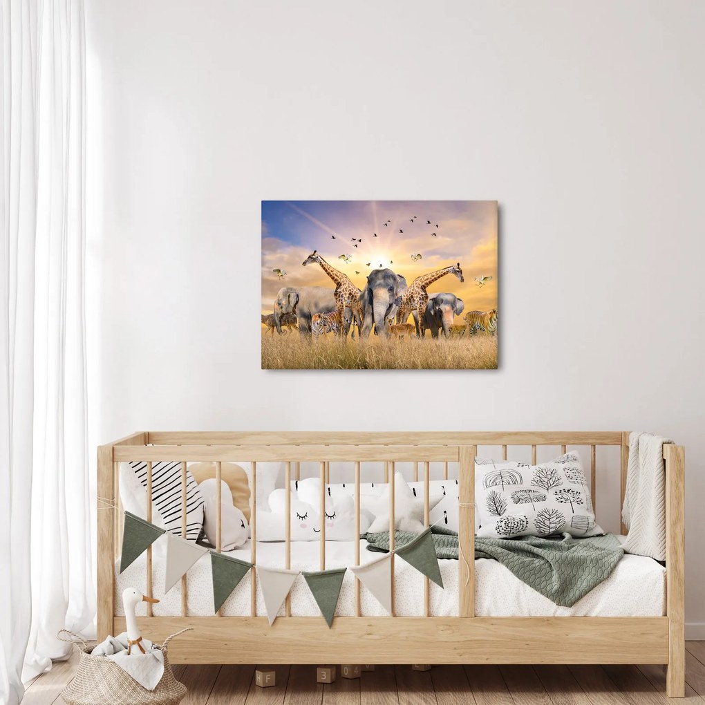 Kép - Afrikai állatok (70x50 cm)