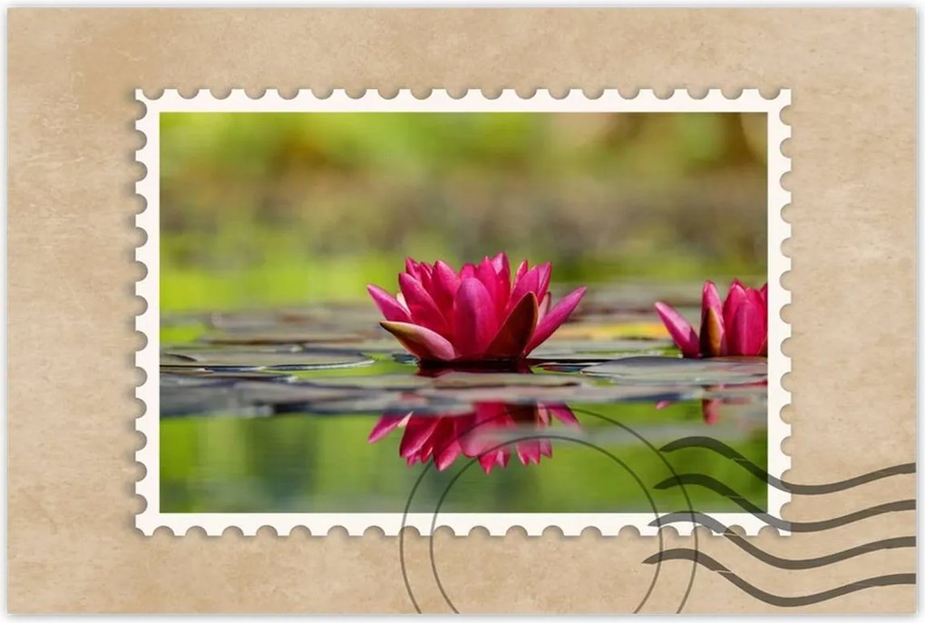 Poszterek 120x80 Vízi liliom