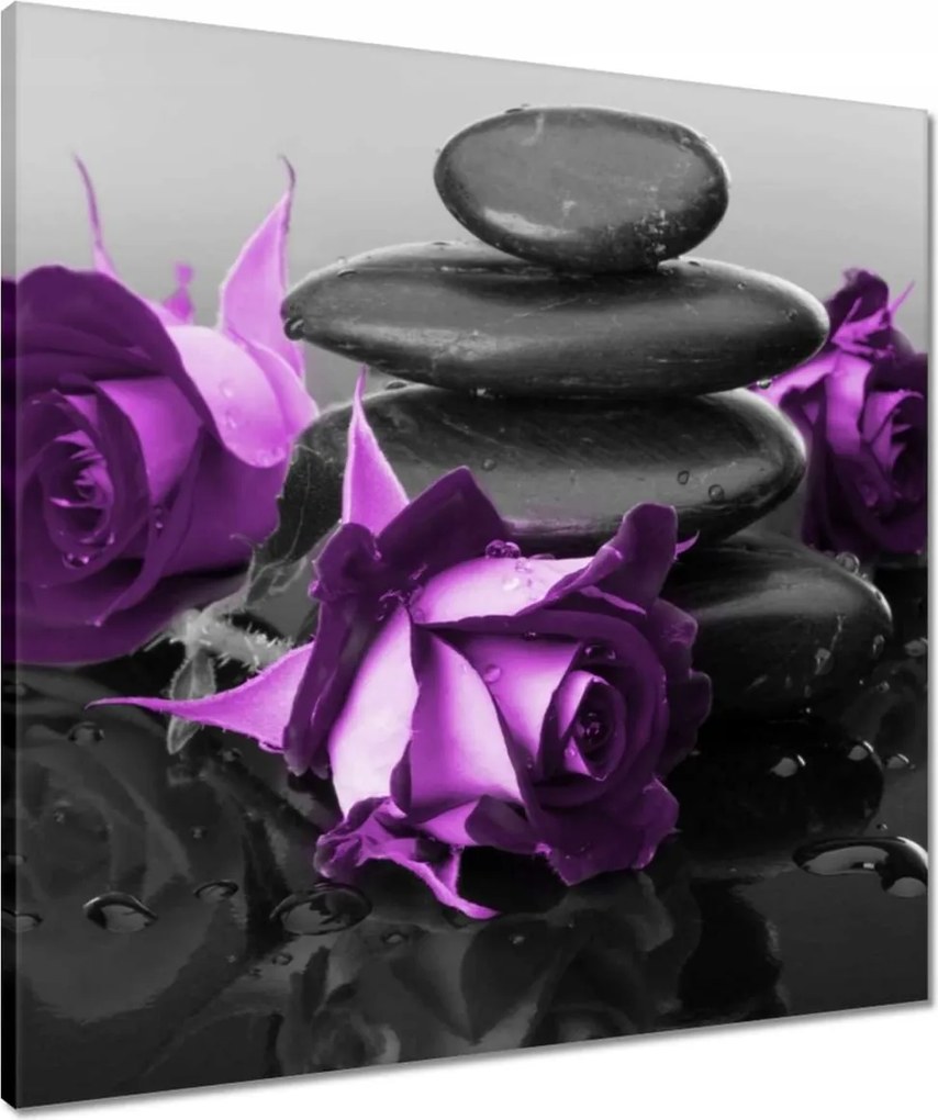 Vászonkép 60x60 Lila rózsák Spa kő