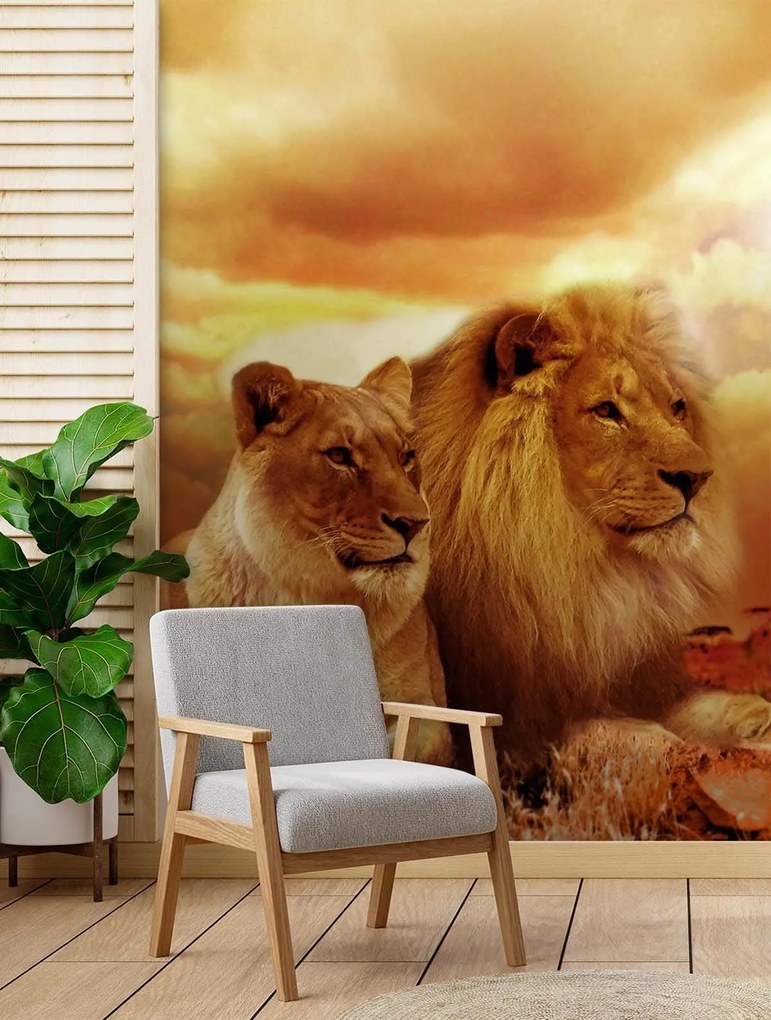 Gario Fotótapéta Oroszlán pár Anyag: Vlies, Méret: 150 x 210 cm
