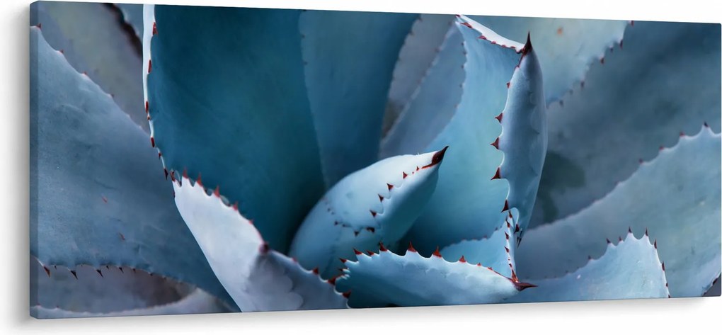Kép - Agave (120x50 cm)