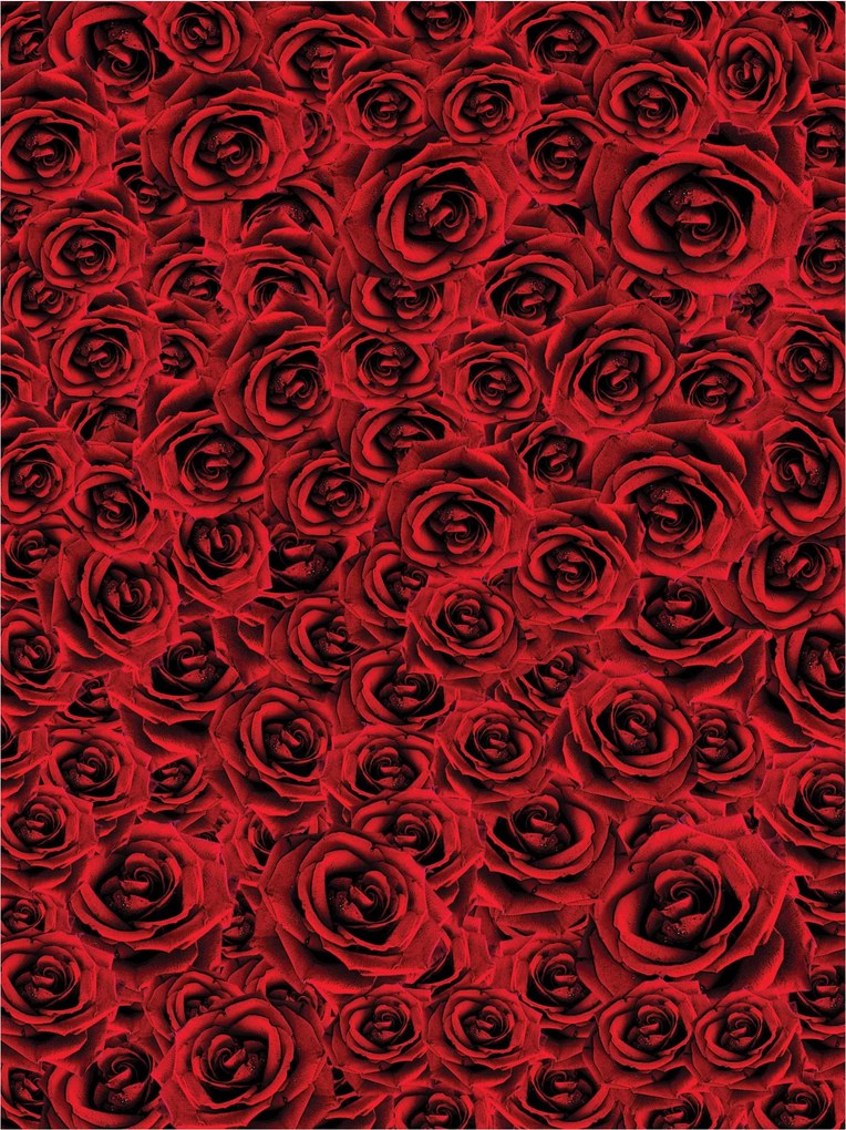 Fotótapéta Vörös rózsák Bársony kert színmélység 206x275 +ragasztó