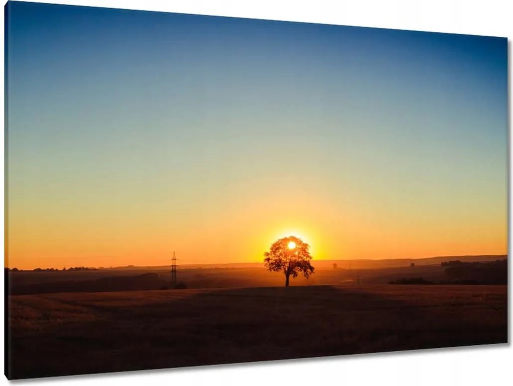 Festmények 120x80 Kilátás Tájkép